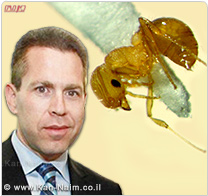 המשרד להגנת הסביבה, פרסם רשימת משתלות שנמצאו נגועות בנמלת האש הקטנה
