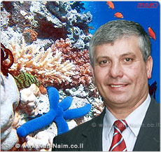 הממשלה אישרה הצעת שר התמ