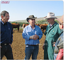 הזרעה אמריקאית בפרות ישראליות, בחוות בקר בצפון
