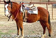 נערה בת 13 וחצי מגן יאשיה נפצעה קשה לאחר שנפלה מסוס