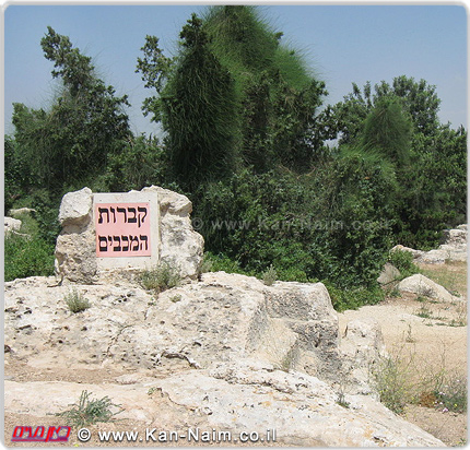 קברות המכבים, האם נתגלה קבר המכבים? רשות העתיקות, תציג מחר תוצאות החפירה