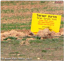 מינהל מקרקעי ישראל: במבצע ’שומר קרקע’, נעקרו גידולים חקלאיים ב-250 דונם ליד רהט