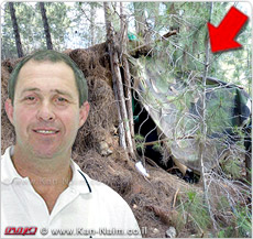 מינהל מקרקעי ישראל: 