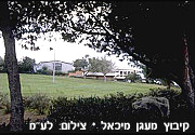 מעגן מיכאל: הרוג ושלושה פצועים בתאונת עבודה