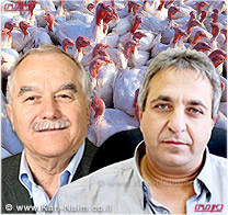 מגדלי העופות: בג
