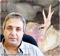 מגדלי העופות: סגירת אתר דודאים לפינוי פגרי עופות תגרום למגדלים לבצע קבורה פיראטית