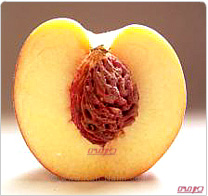 לטעום את הקיץ באפרסק