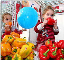 מגדלי הפלפל באזור חוף כרמל רשמו עלייה מרשימה של כ-600%! ביצוא הפלפל הבלוקי