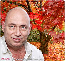 אוניברסיטת חיפה: נפתרה התעלומה למה השלכת אדומה באמריקה וצהובה באירופה