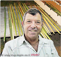 מגדלי התמרים לקראת סוכות: ענף הלולבים, יגיע להיקף מכירות של 50 מיליון ₪