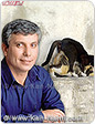 משרד החקלאות; השר שלום שמחון, הורה להקים מחלקה ל’צער בעלי חיים’