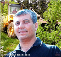 משרד החקלאות: במאי, יכנס לתוקף חוק האוסר כריתת עצים בוגרים