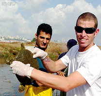 צב נדיר ממין 