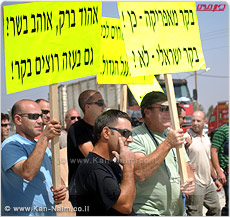 מגדלי הבקר בישראל: יש לנו הפסדי ענק של 10 מיליון ₪ בשנה עקב העדפות הממשלה