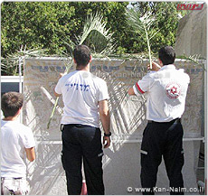 מד