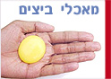 מאכלי ביצים