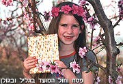 תפוסה של 95% בחדרי האירוח בפסח ובחול המועד בגליל ובגולן ישראלים ומשפחות יהודיות מחו