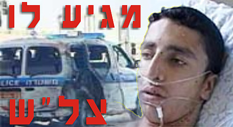 מגיע לו צל
