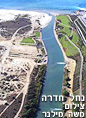 קנס על סך 150,000 ₪ נגזר על חברת הצמיגים 
