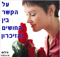 מחקר חדש שופך אור על הקשר בין החושים והזיכרון